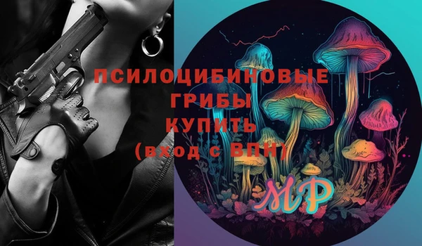 apvp Зерноград