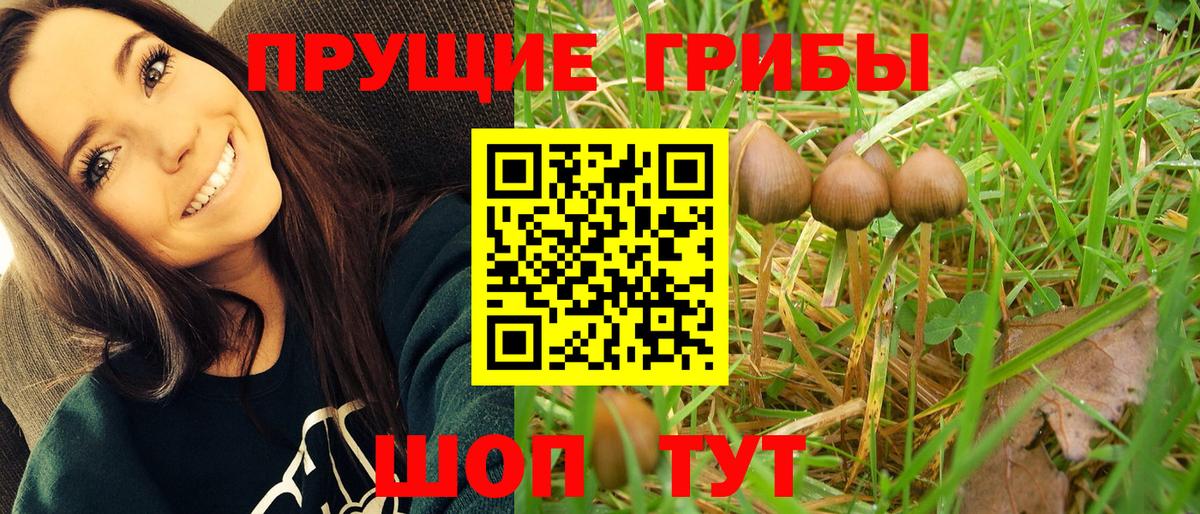 Егорьевск  Псилоцибиновые грибы GOLDEN TEACHER  Вход с VPN 