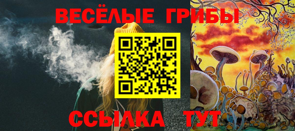 Галлюциногенные грибы MAGIC MUSHROOMS Егорьевск